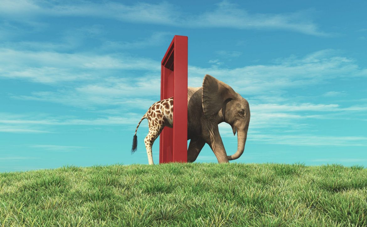 Giraffe,Entering,A,Door,And,Gets,Out,As,An,Elephant